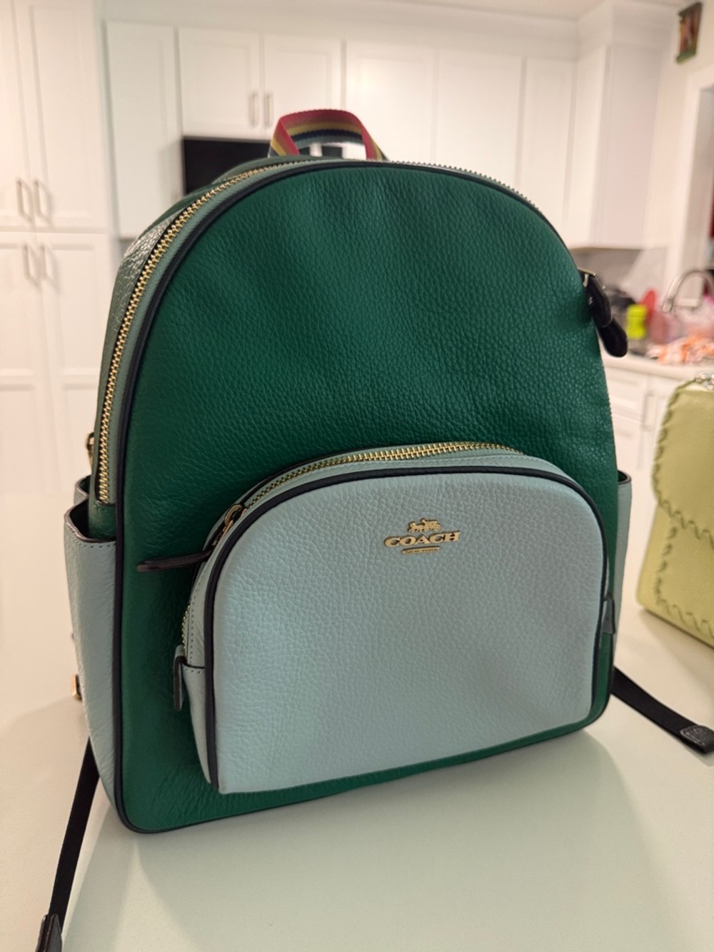 Coach Emerald and Mint Leather Backpack